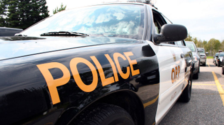 OPP Lays Over 10 000 Charges During Long Weekend