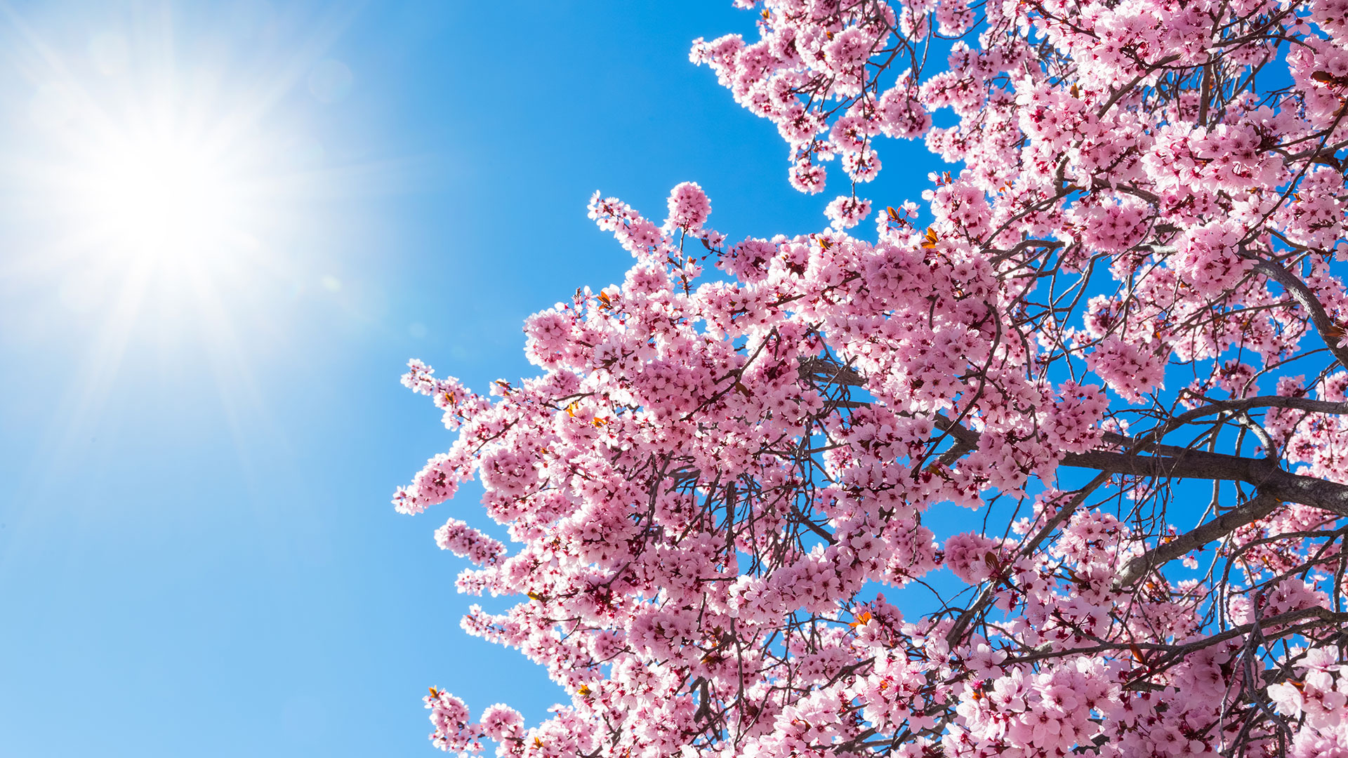 Spring 2018 to start off cooler-than-average