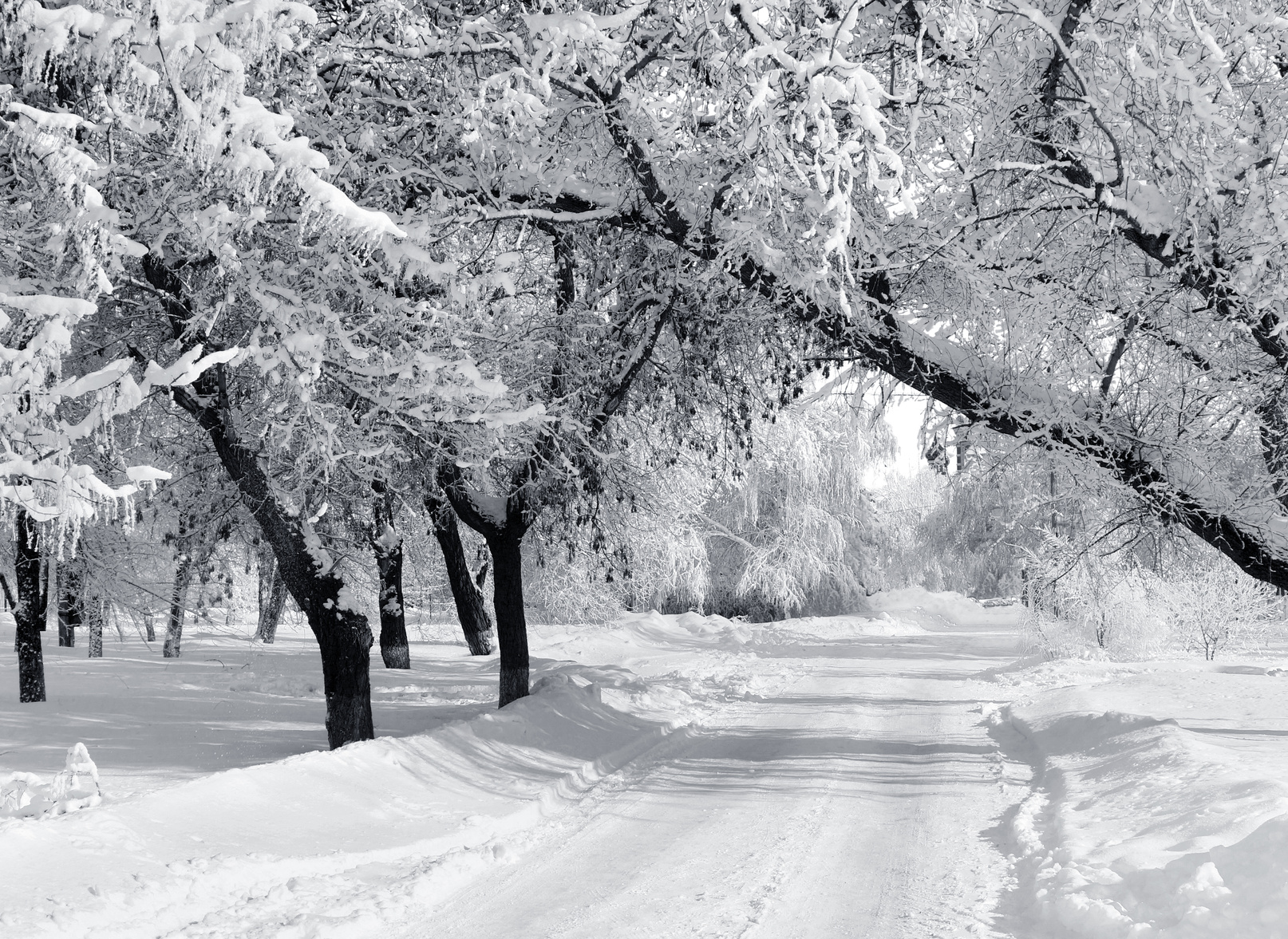 Canadian Winter Highlighted in New York Times Article - My Bancroft Now