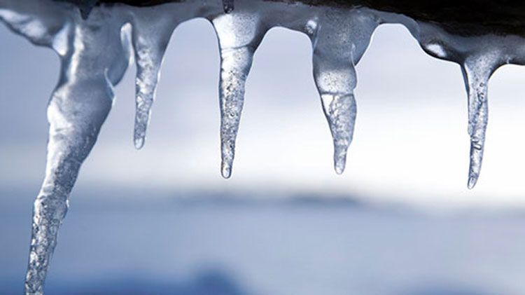 Staff to look at ice cover in Algonquin Park
