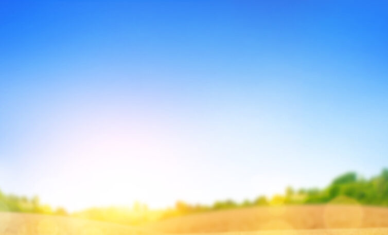 North Kawartha adopts a solar policy