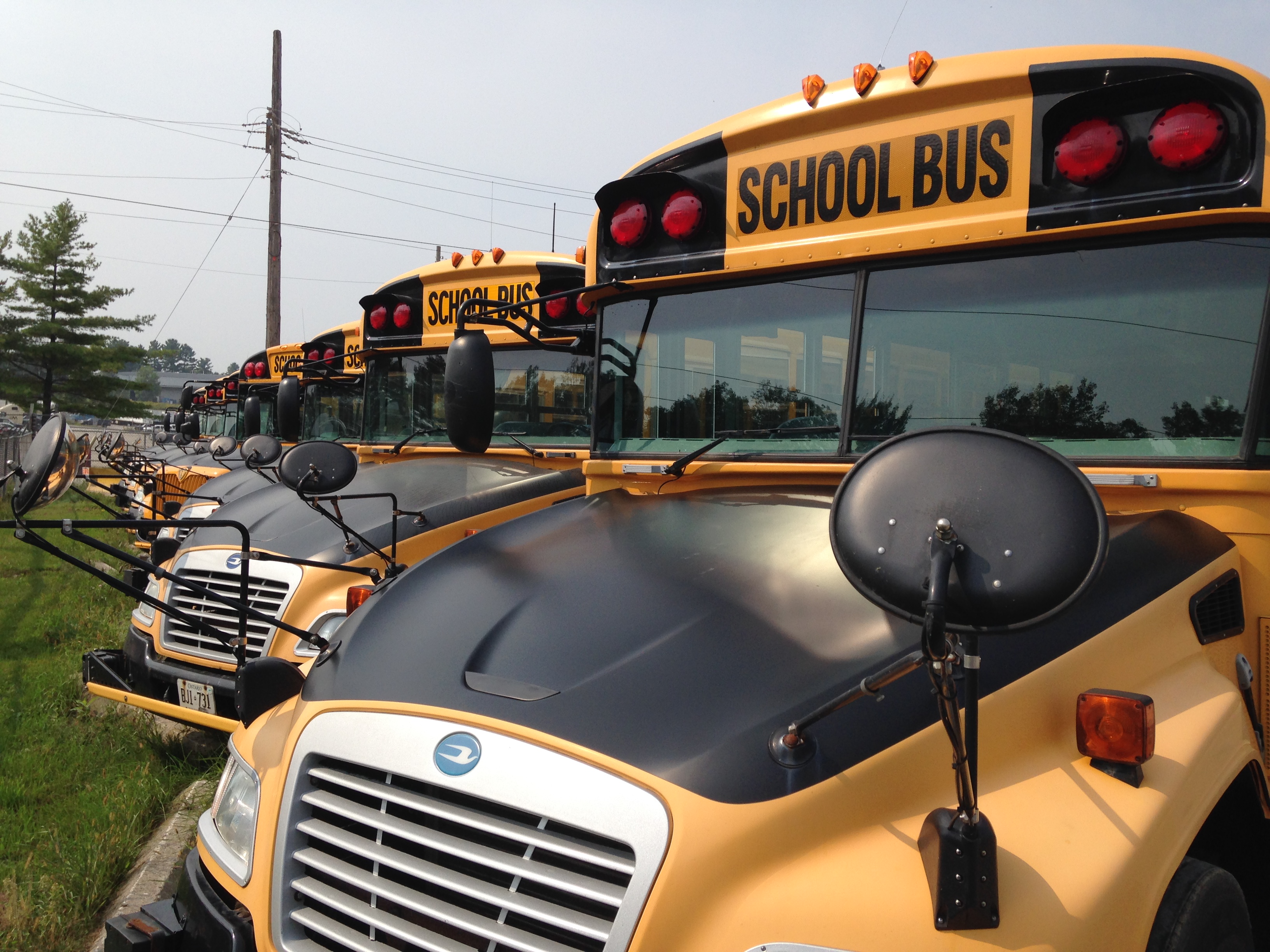 School Bus Report January 11, 2016.