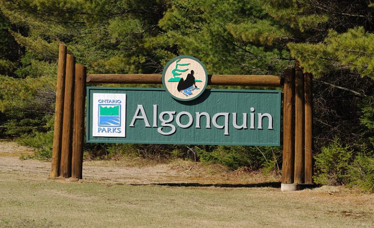 Visitors Are Asked to Watch Their Step in Algonquin Park