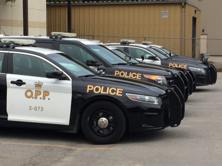 OPP Reporting Mischief, Theft in Town of Bancroft