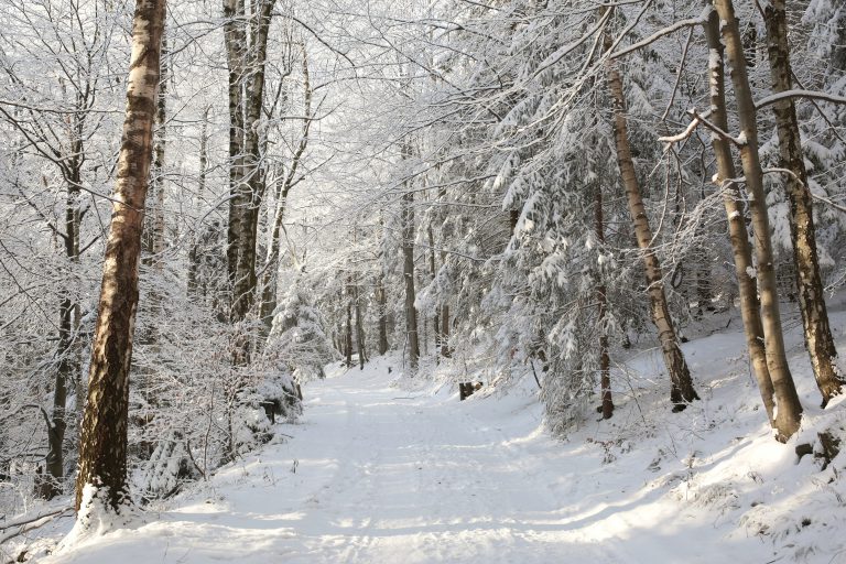 More snowmobile trails have opened up 