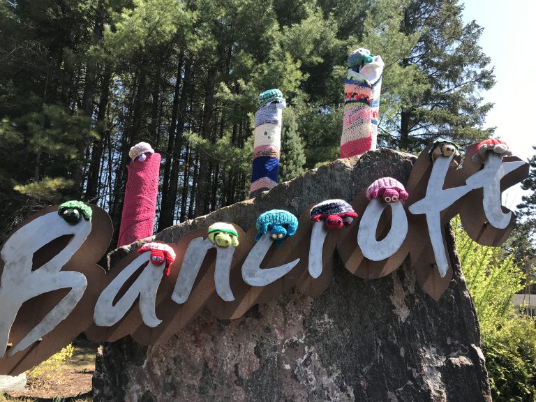 Downtown Bancroft covered in yarn turtles to raise awareness for World Turtle Day