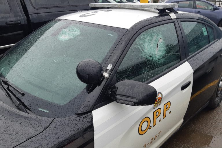 Police ask for help after cruiser is vandalized