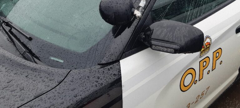 Police ask for help after cruiser is vandalized