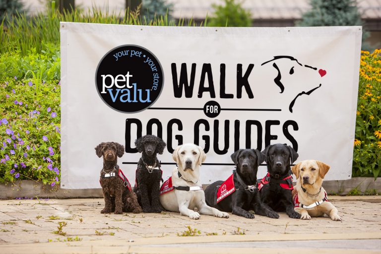 Want to go for a walk? Dog Guides fundraiser set for May 28 