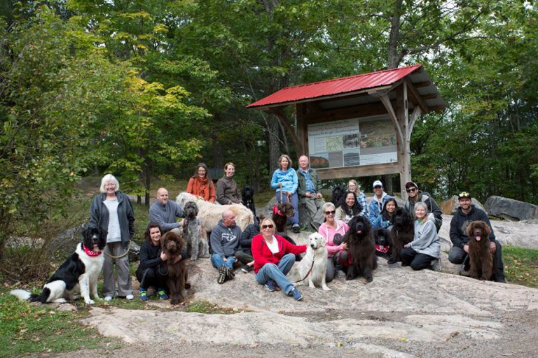 10th Anniversary of Newf Friends Brings in Big Fundraising Dollars