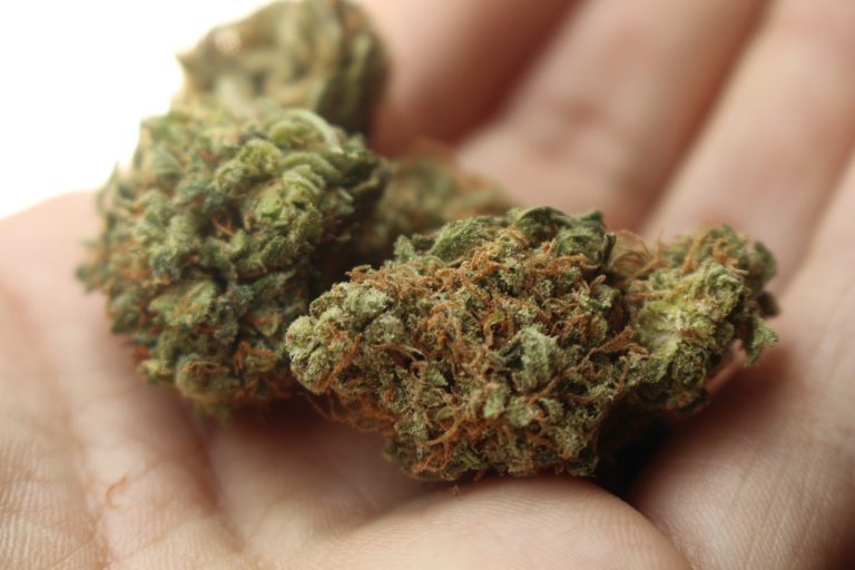 School Board Preparing For Marijuana Legalization