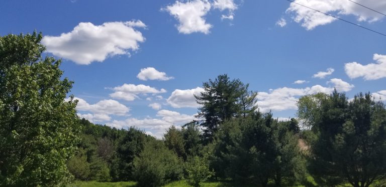 Heat to last until mid-week, severe thunderstorms possible, says Environment Canada