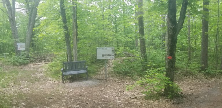 eagles nest trail