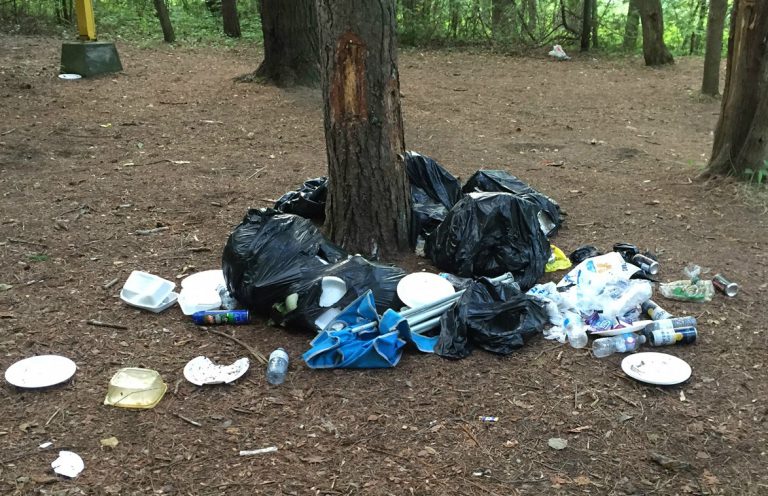Parks Ontario launching campaign to get visitors to protect natural environment