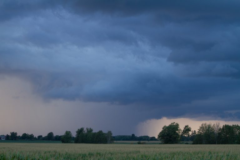 Severe thunderstorm watch in effect for the area