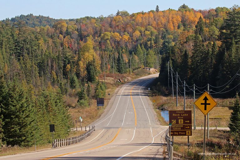 algonquin park