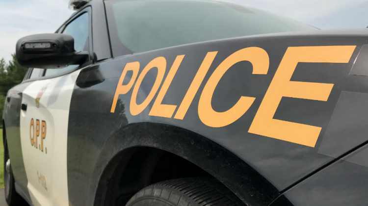 OPP warning of scammers posing as stranded motorists