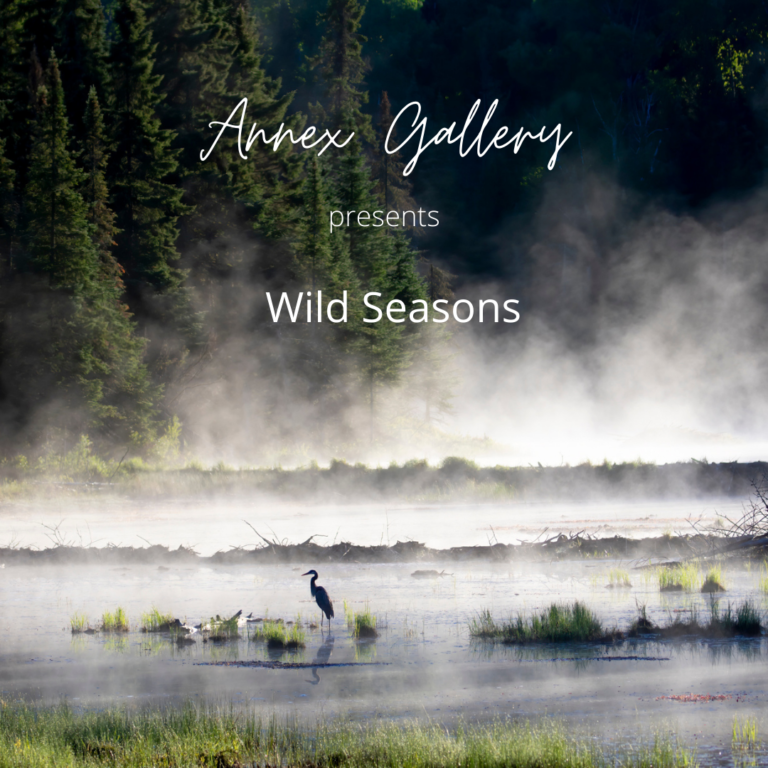 A Place for the Arts hosting nature photographer online