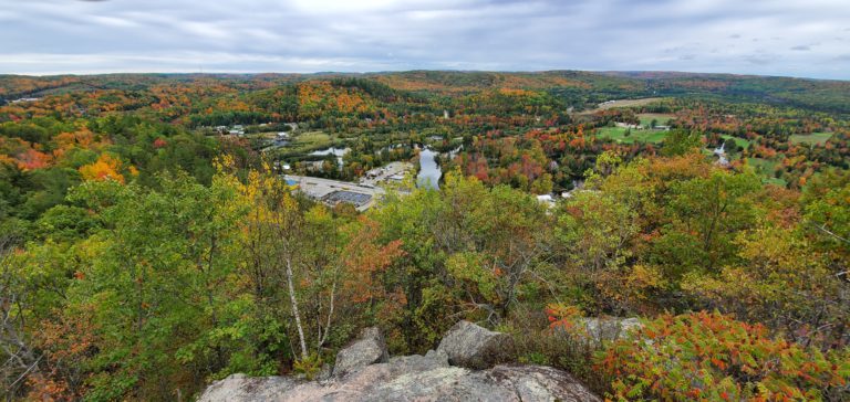 Stewards of Bancroft Eagles Nest Park have high hopes for 2023 