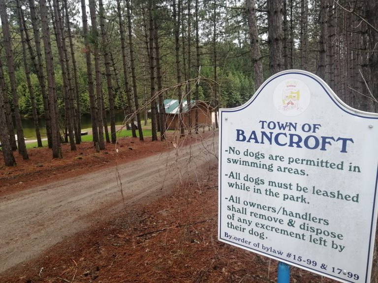 Bancroft Mayor urges caution as town reopens