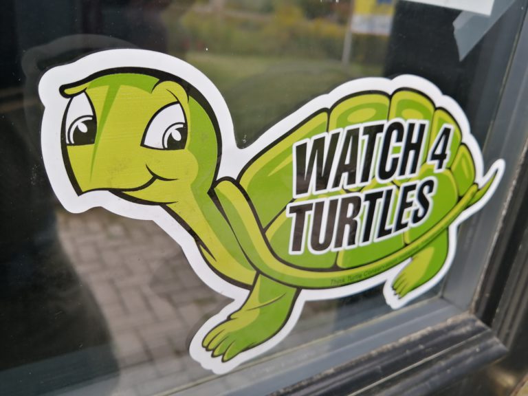 Think Turtles Conservation Initiative seeking volunteers to paint “Watch 4 Turtles” signs