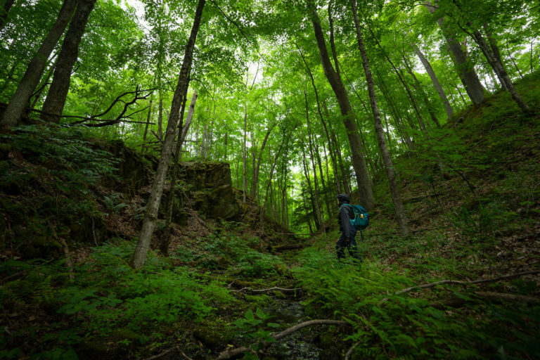 Land in Hastings County Donated to the Nature Conservancy of Canada