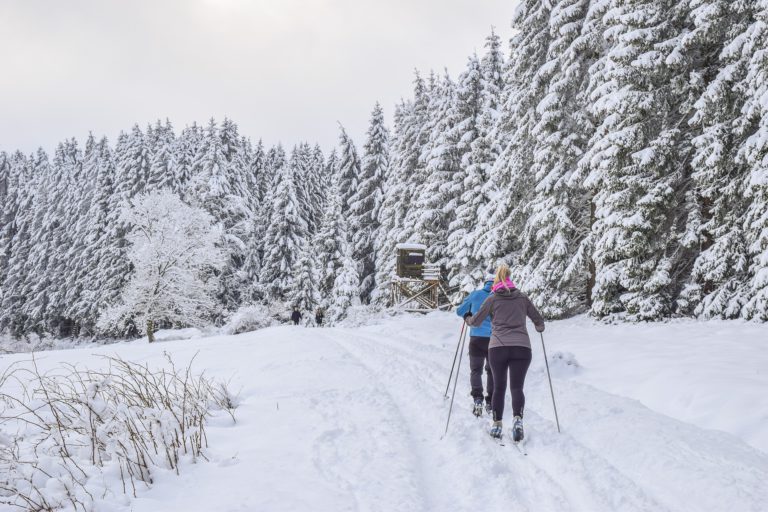 Algonquin Park ski trails are now open 