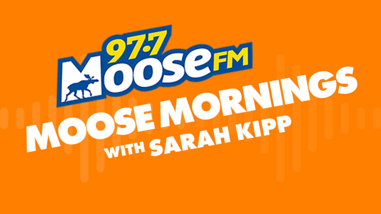 Moose Mornings with Sarah Kipp