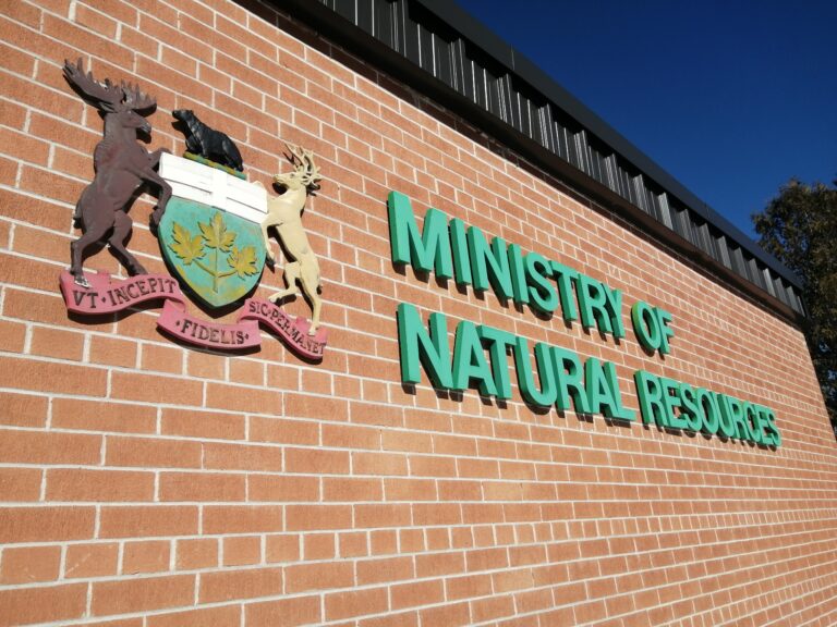 Ministry of Natural Resources and Forestry offering programs for Indigenous peoples