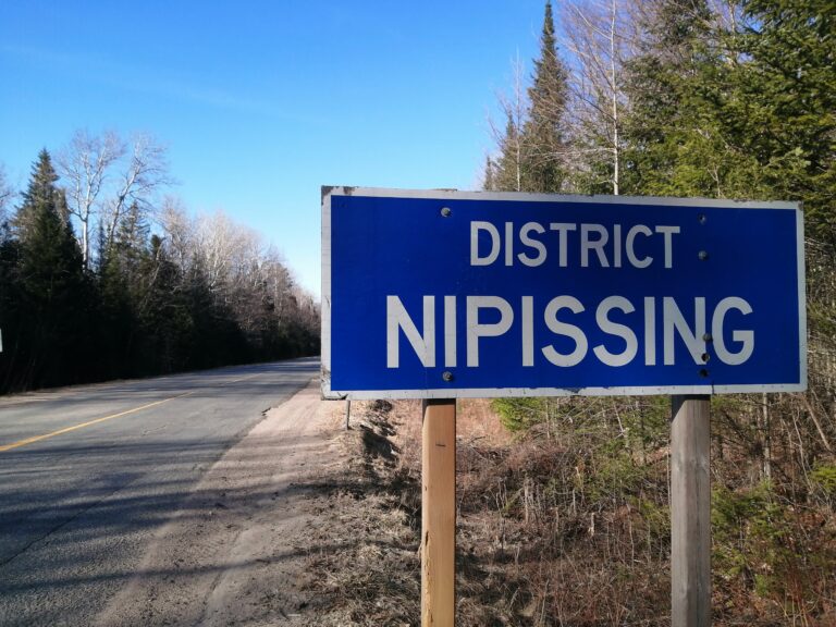 OPP urges drivers to heed warning signs after moose-vehicle collision
