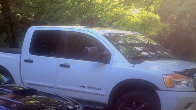 Pickup stolen from driveway in Dysart et al