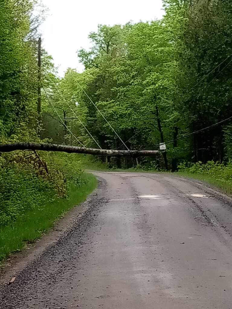 Majority of storm repairs to wrap up this week