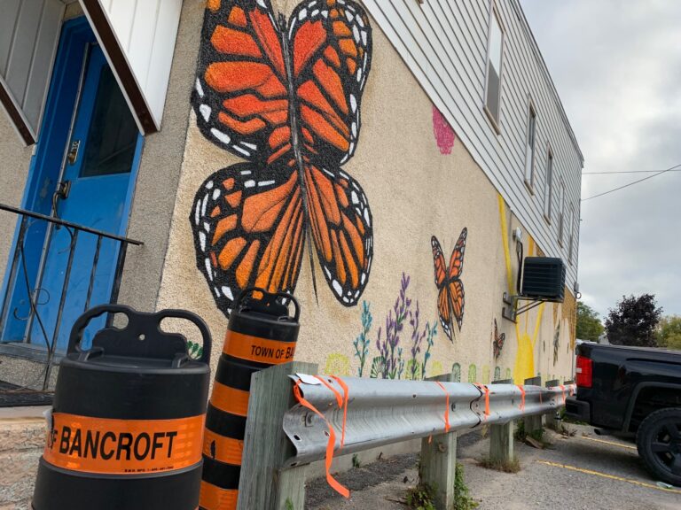 Some artists are adding colour to downtown Bancroft