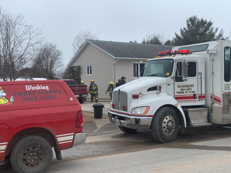 No one injured in shed fire