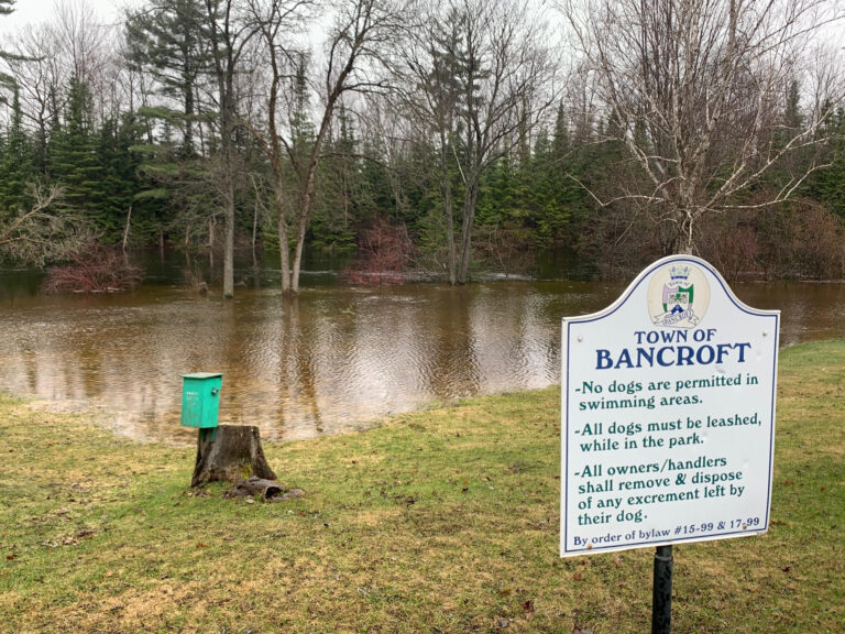 Flooding closing parks in Bancroft, causing more concerns further north