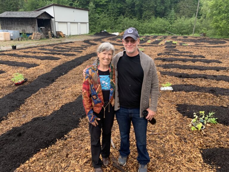 New community garden is also a work of art 