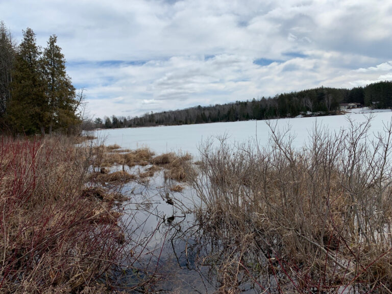 Water levels expected to rise “above average” in coming days