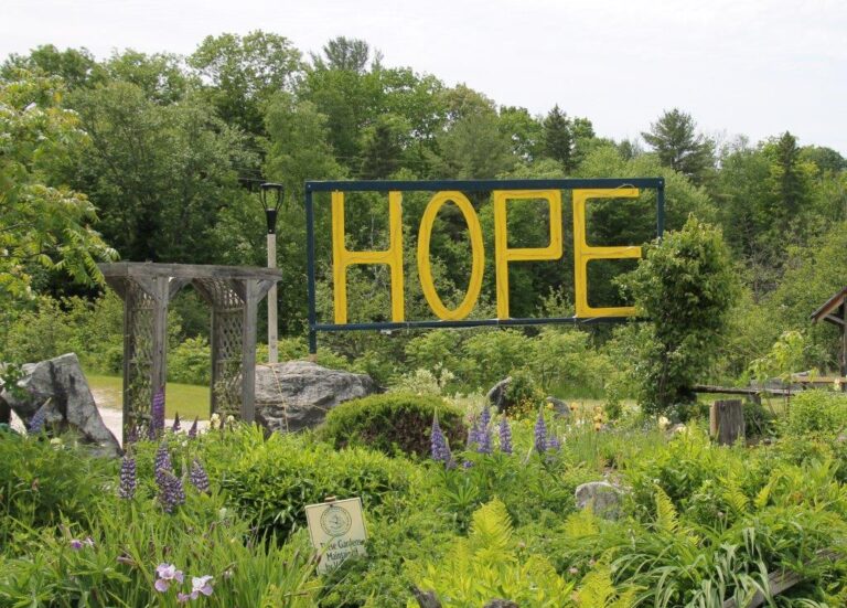 Relay for Life, to honour cancer fighters, set for June 10  