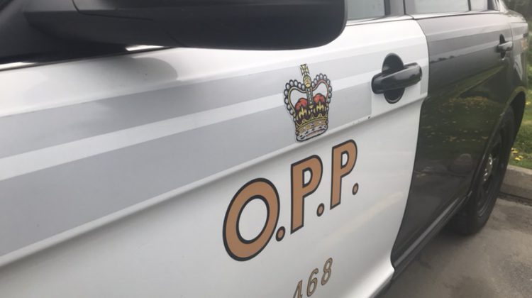 Expired plates lead to drug trafficking charge for Bancroft resident