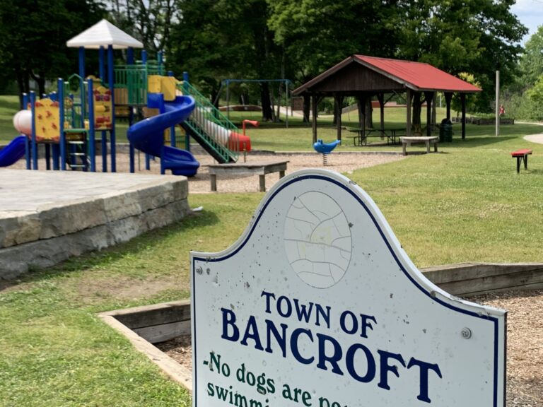 Bancroft hopes to build accessible playground  