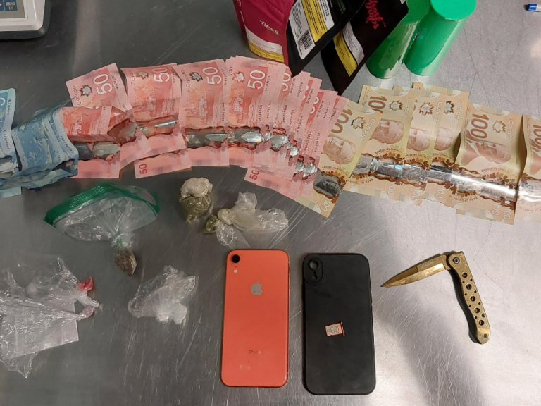 OPP traffic stop leads to drug trafficking charges