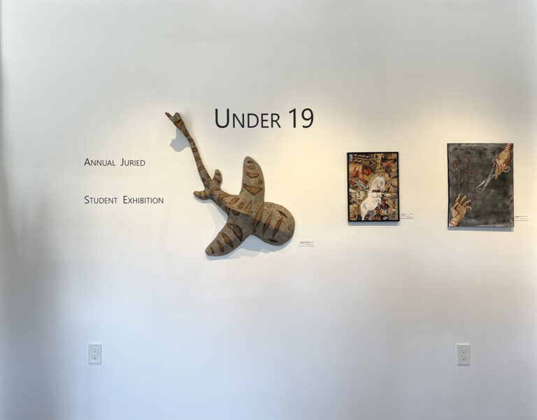 Opening Reception for Under-19 Juried Art show this Friday