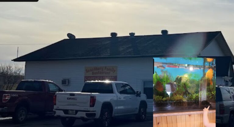 Much-loved tropical fish worth thousands stolen from popular small-town restaurant 