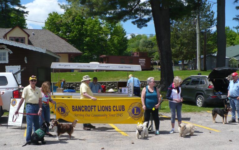 Bancroft steps up for service dogs with May 25 walk