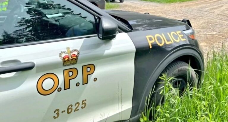Federal offender located and now back in custody