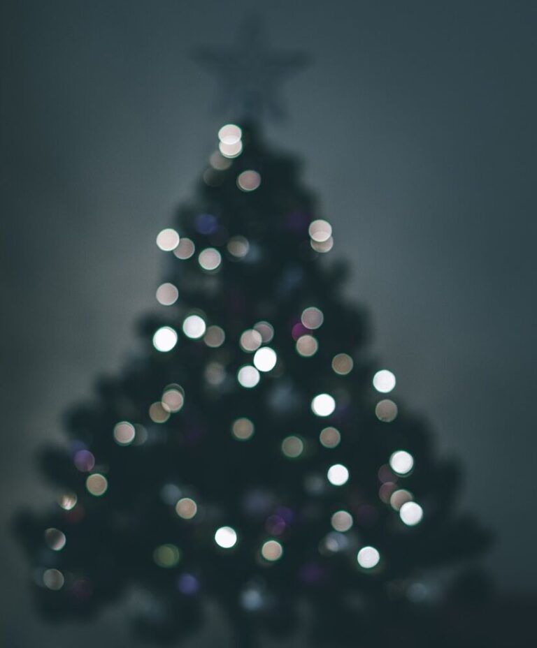 Lights of Love will shine this Friday