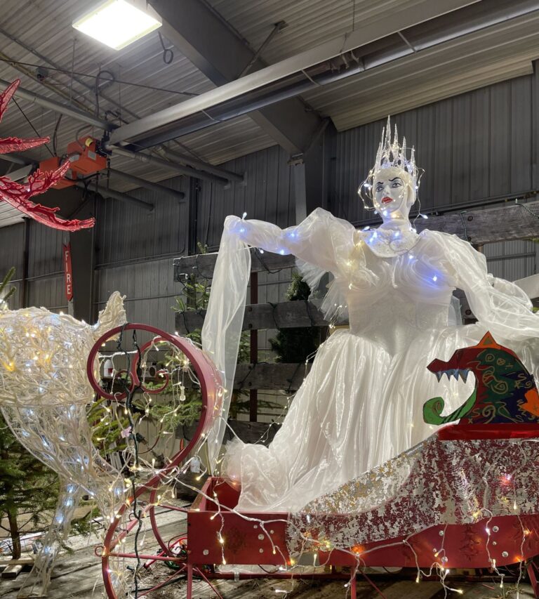 Vendors, music, floats and Santa: Maynooth gets ready to Brighten the Night on Saturday  