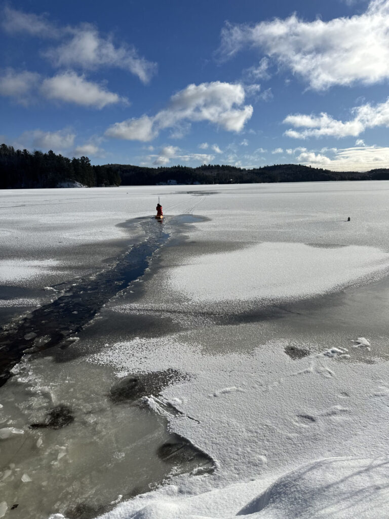 Stunning rescue after local contractors spot deer stranded on thin ice