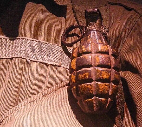 Explosive situation avoided in Bobcaygeon after grenade found at residence 