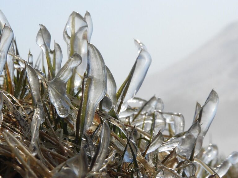 Wintry wallop: Locals breath a sigh of relief as neighbours endure